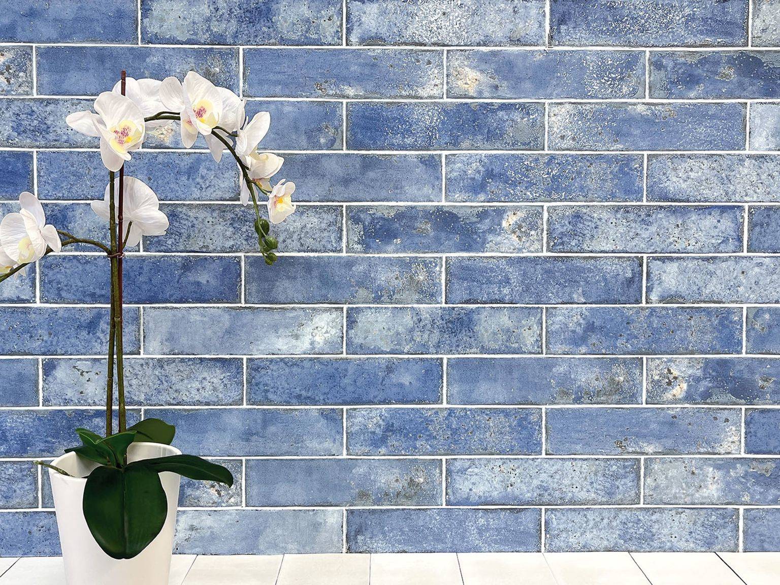 Jamaica Blue 3x11 | Matteo Kitchens