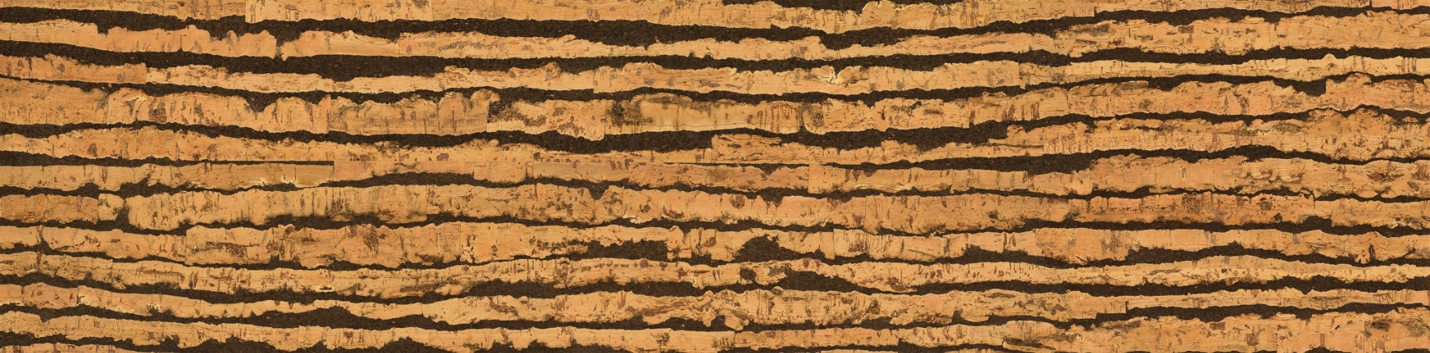 Cork Click Lanzarote | Matteo Kitchens