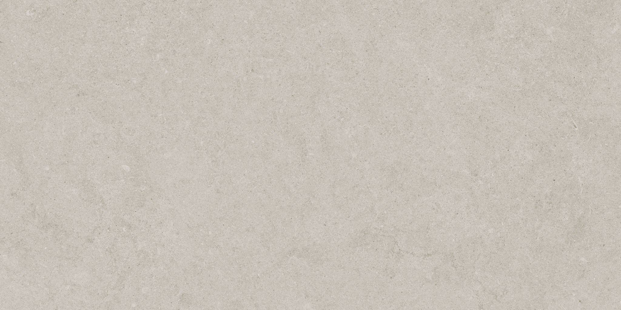 Lithoform 12X24 Crosscut Coast | Matteo Kitchens