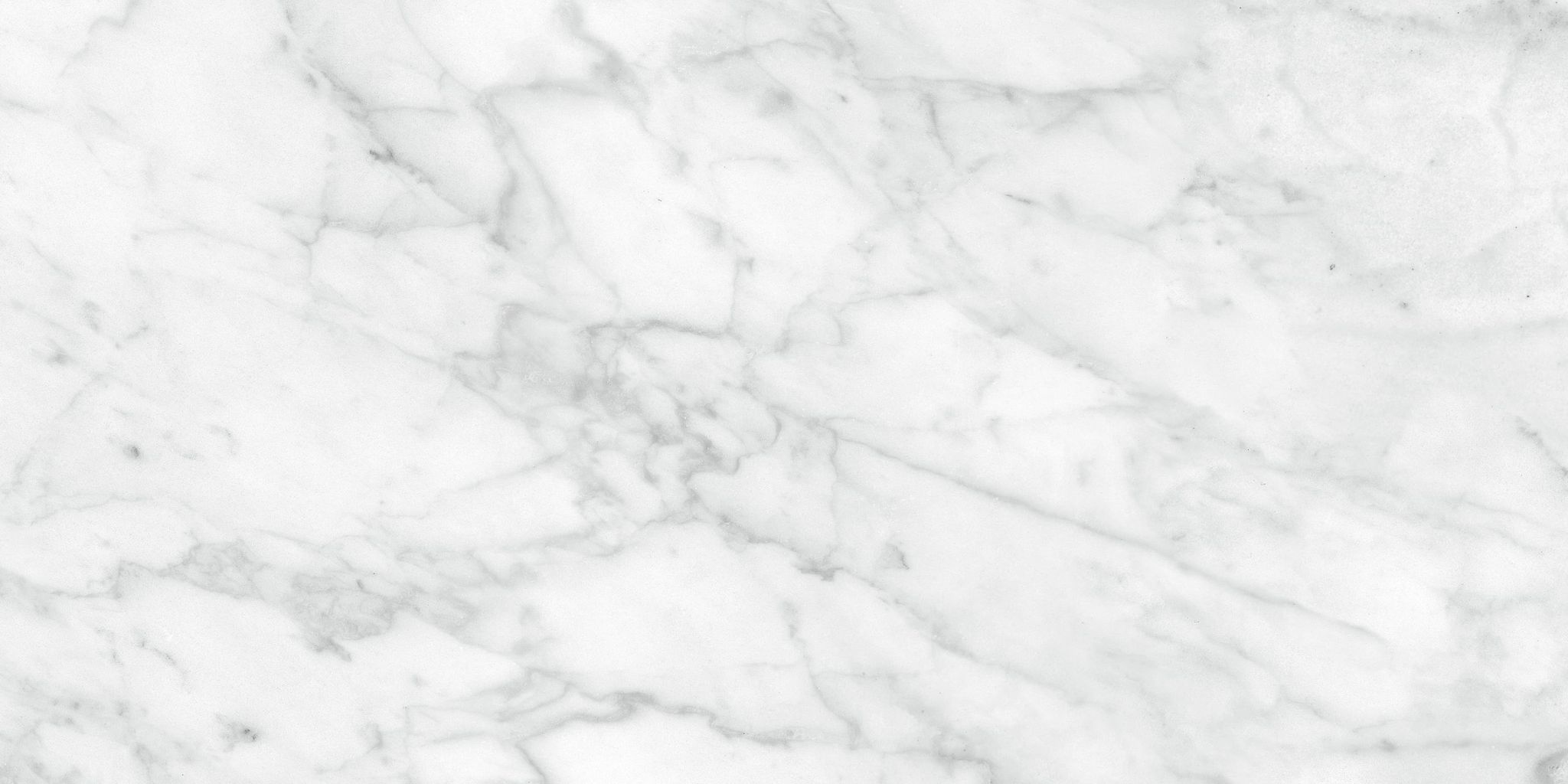 Plata 12x24 Carrara Abisso Polished | Matteo Kitchens