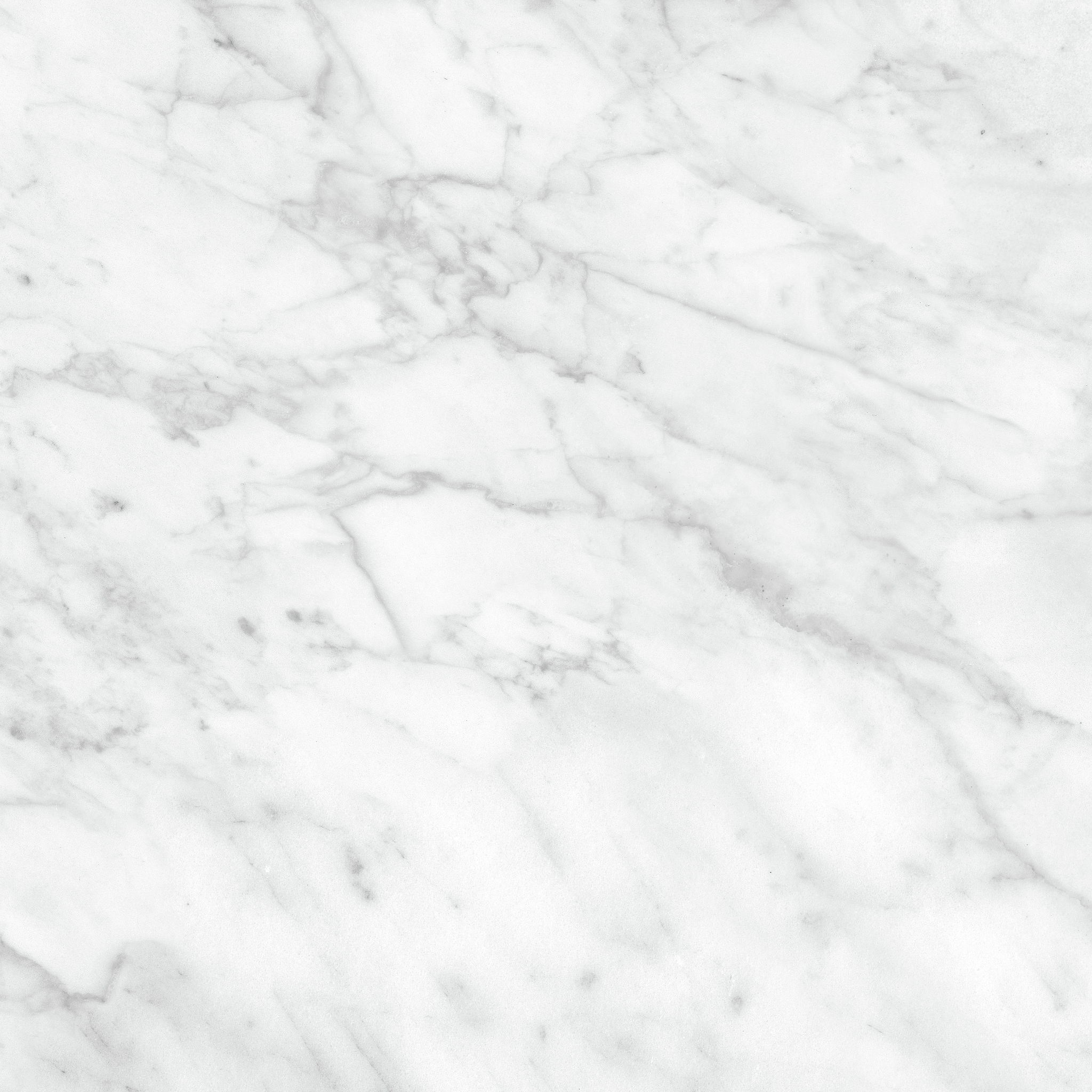 Plata 24x24 Carrara Abisso Polished | Matteo Kitchens