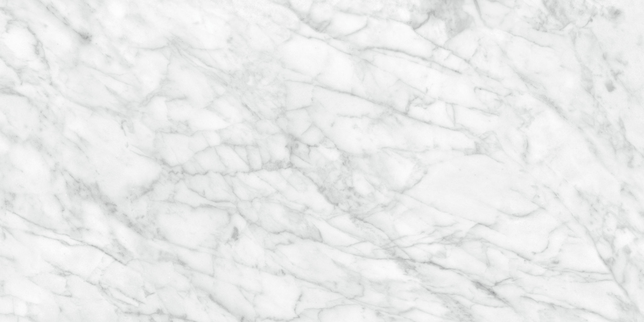 Plata 24x48 Carrara Abisso Polished | Matteo Kitchens
