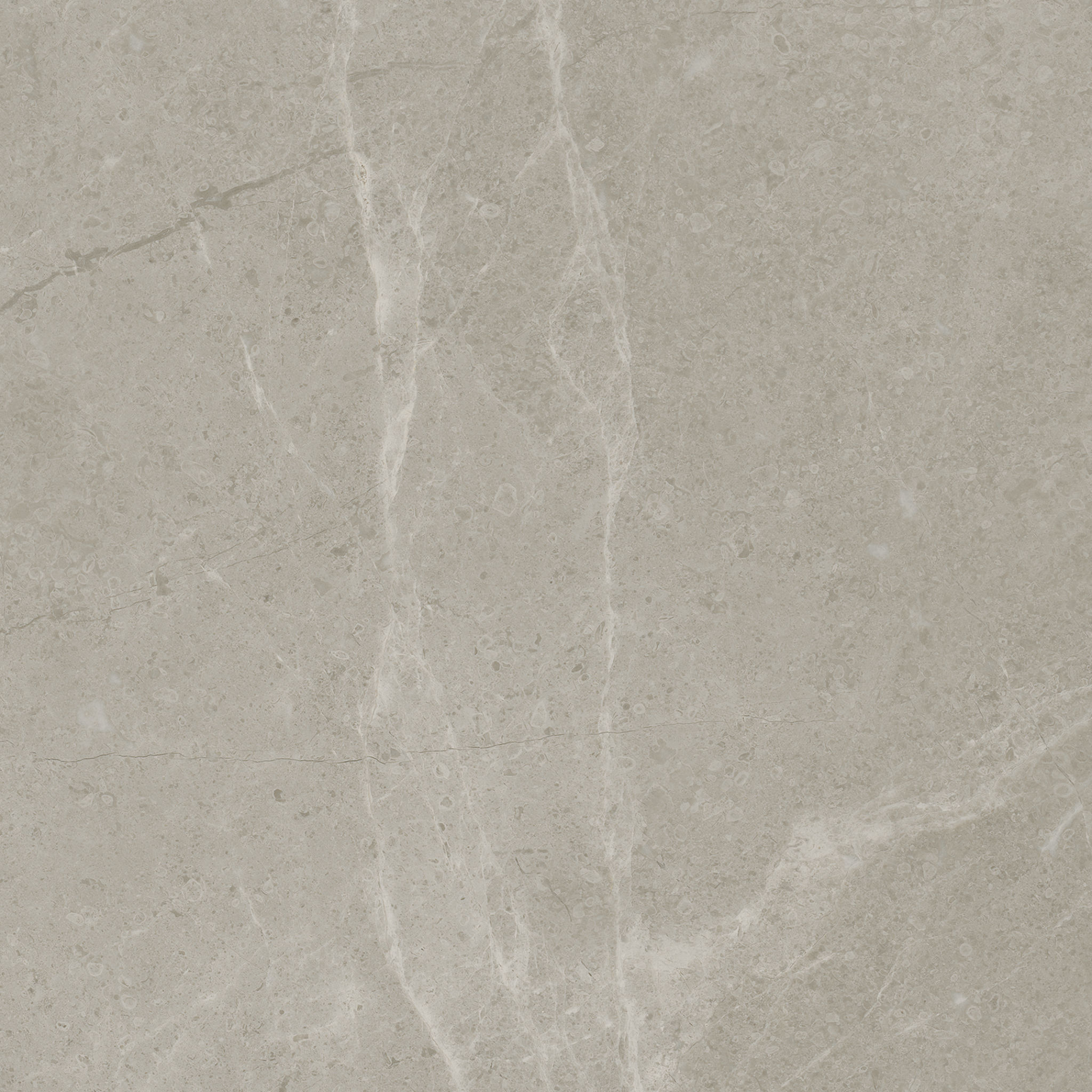 Torino 13x13 Vanizio | Matteo Kitchens