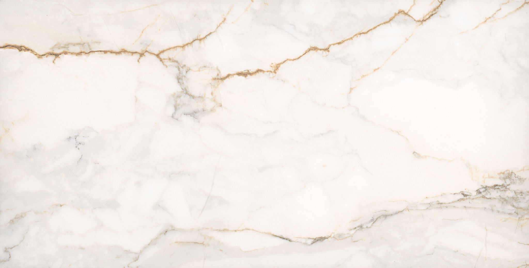 Treasure II Perfect Calacatta 12x24 Polished | Matteo Kitchens