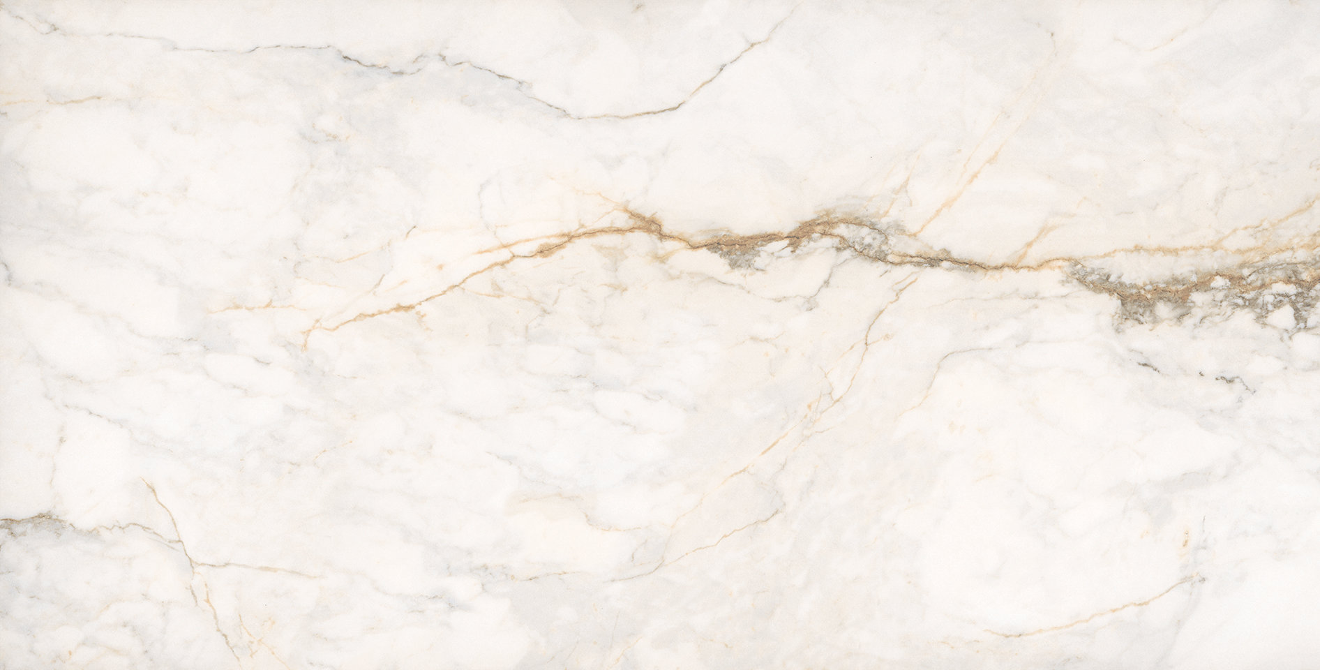 Treasure II Perfect Calacatta 24x48 Polished | Matteo Kitchens