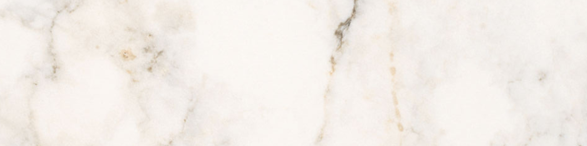 Treasure II Perfect Calacatta 4x12 Polished | Matteo Kitchens
